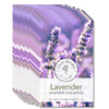 English Lavender Seeds - Lavandula angustifolia