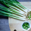 Scallion Seeds - Evergreen Bunching Nebuka - Allium fistulosum