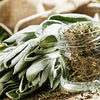 Sage Seeds - Salvia officinalis