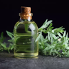 Wormwood Seeds - Artemesia Absinthium - Common Wormwood